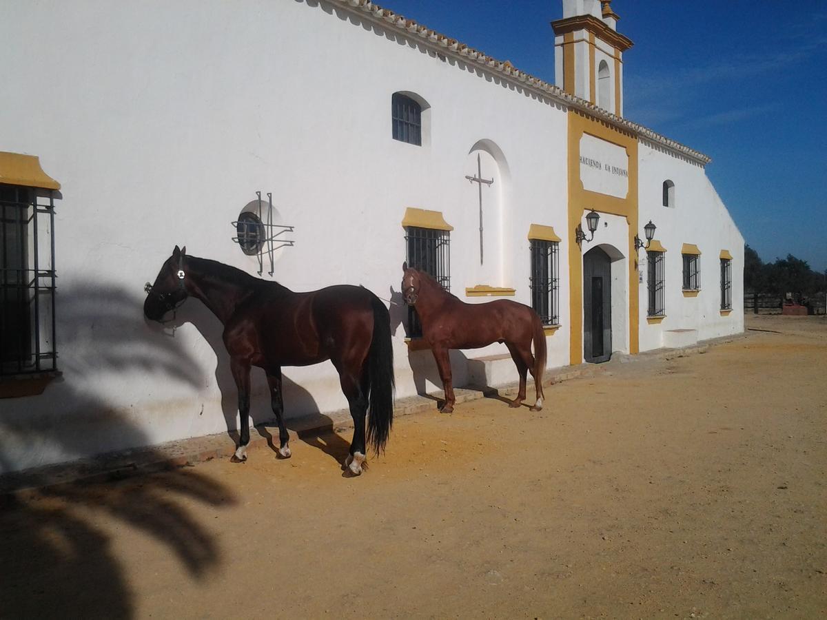 Hotel Hacienda La Indiana Los Palacios Y Villafranca Exteriér fotografie